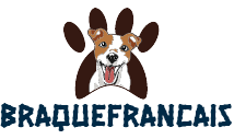braquefrancais