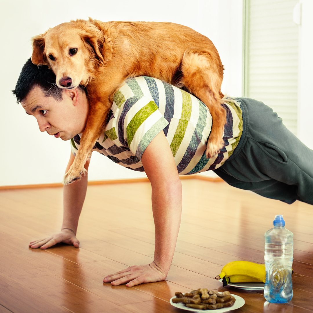 Exercises to Try with Your Dog