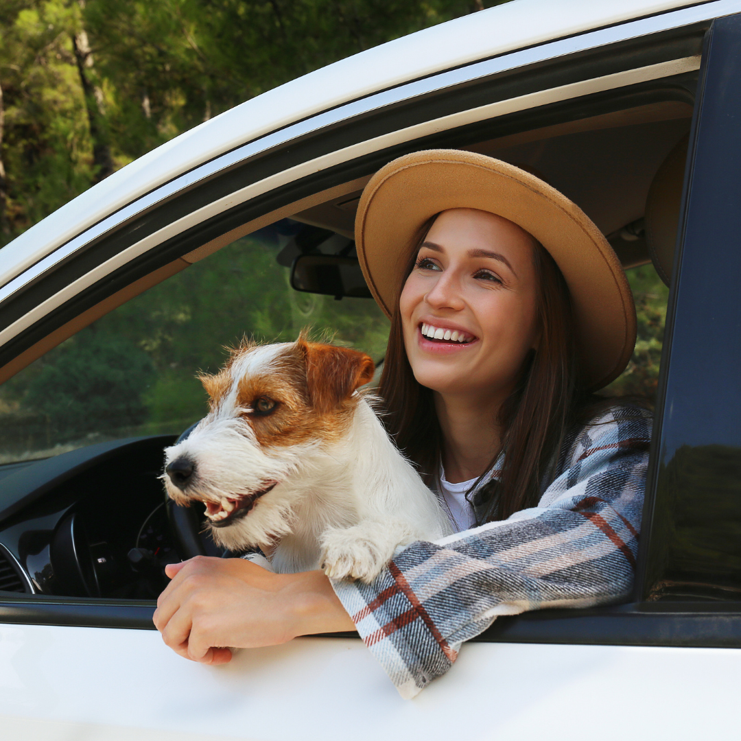 Road Trip with a Dog: Essential Tips for a Safe and Enjoyable Journey