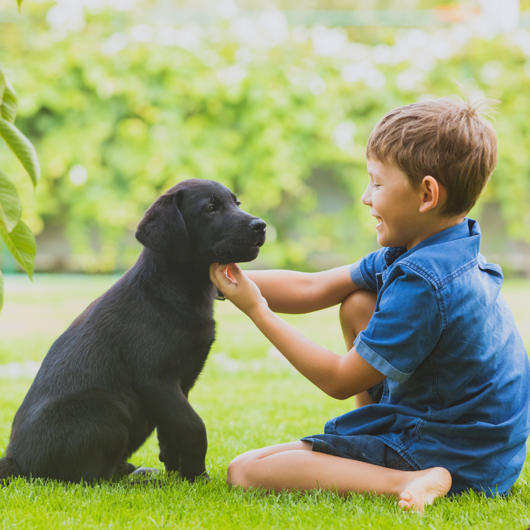 How to Build a Strong Bond with Your Dog: Essential Tips for Lasting Connection